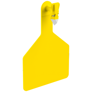 Z1 Cow Tags Custom 1 Side - 25 Tags