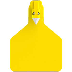 Z1 Calf Tags Custom 1 Side - 25 Tags