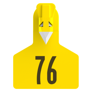 Z1 Pre-Numbered Small Animal Tags - 25 Tags