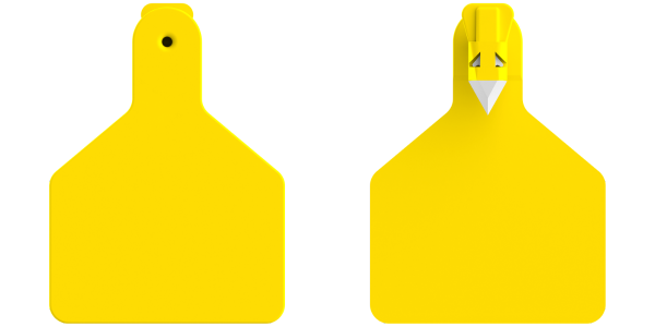 Z1 Calf Tags Custom 2 Side - 25 Tags