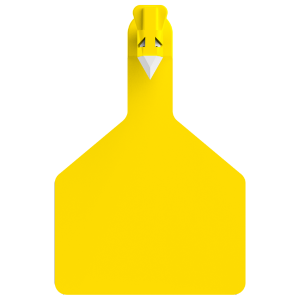 Z1 Cow Tags Custom 1 Side - 25 Tags