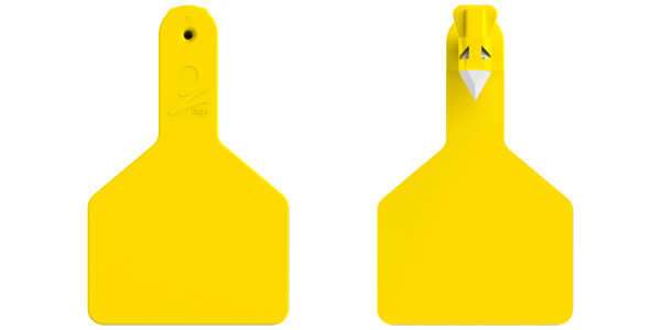 Z1 Long Neck Calf Tags Custom 2 Side - 25 Tags
