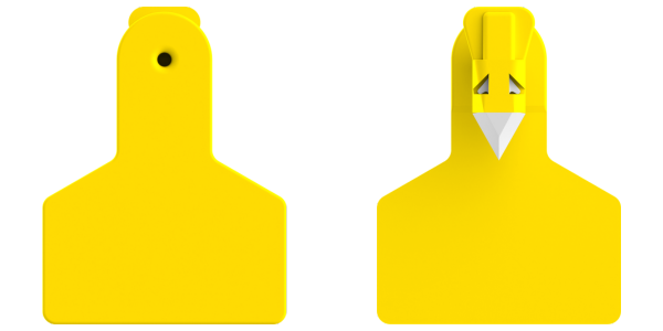 Z1 Small Animal Tags Custom 2 Side - 25 Tags