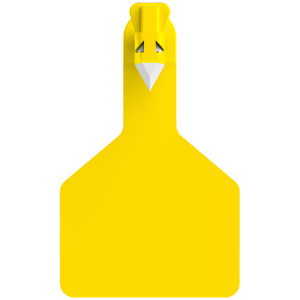 Z1 Blank Long Neck Calf Tags - 25 Tags