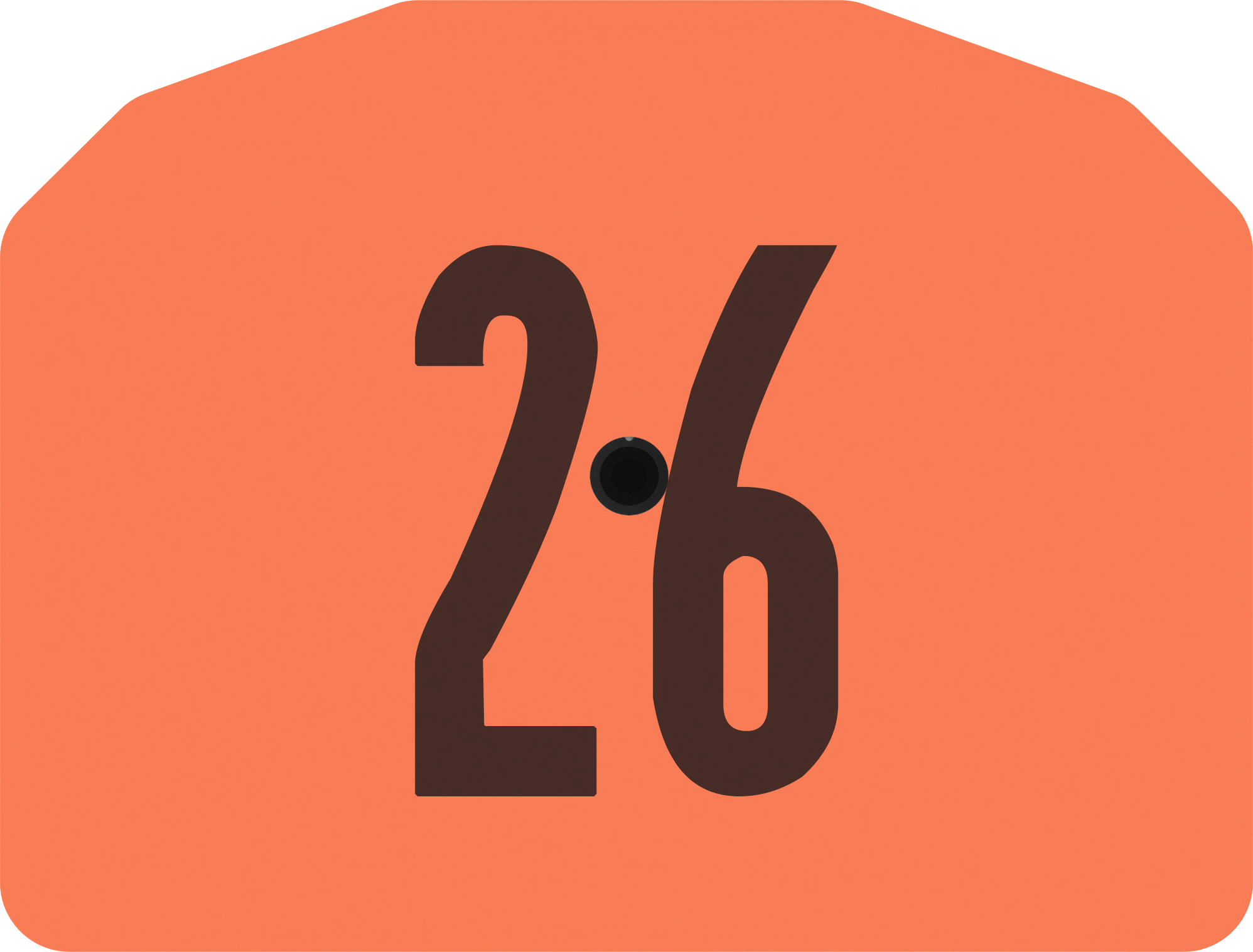 Z1 Pre-Numbered Small Animal Tags - 25 Tags