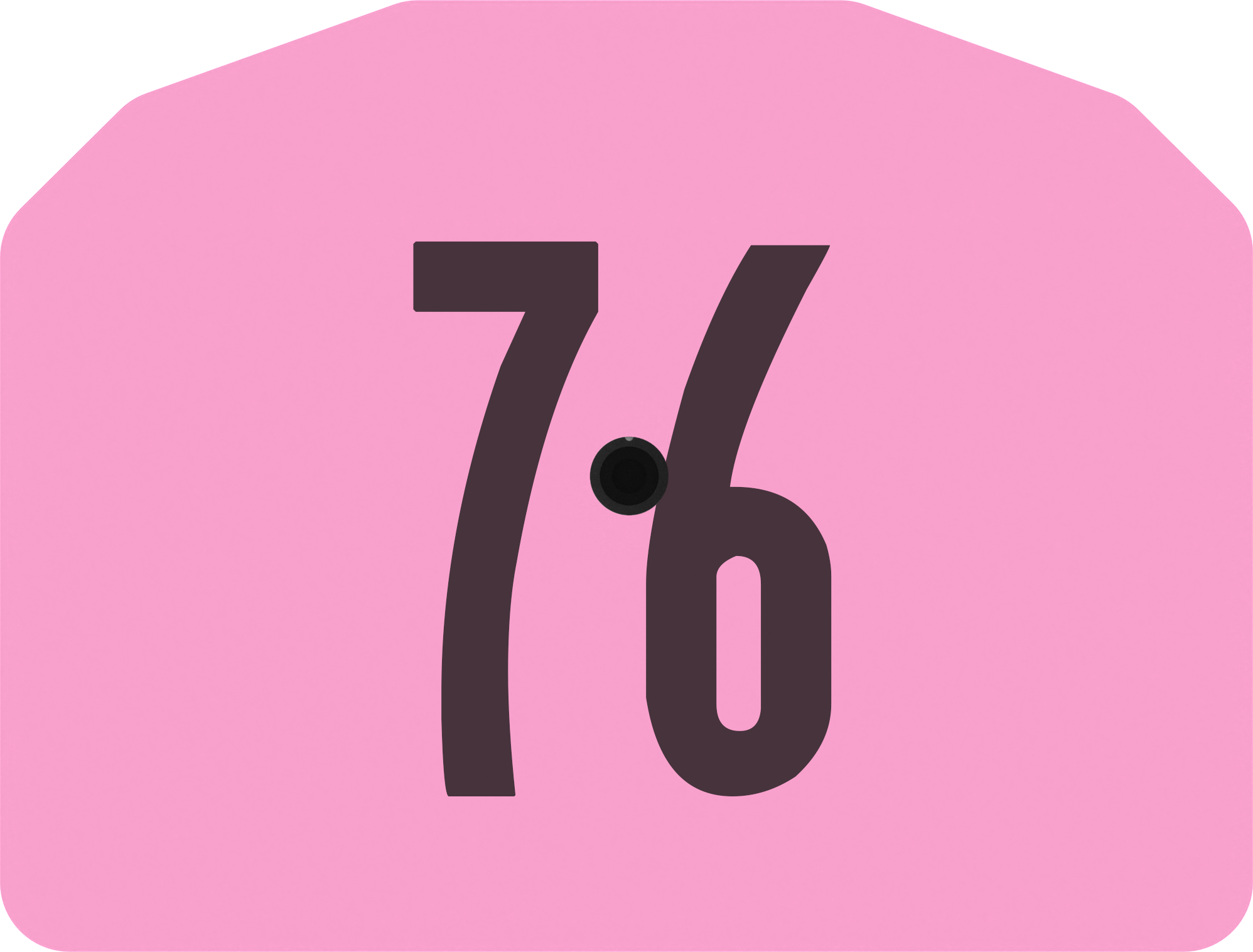 Z1 Pre-Numbered Small Animal Tags - 25 Tags