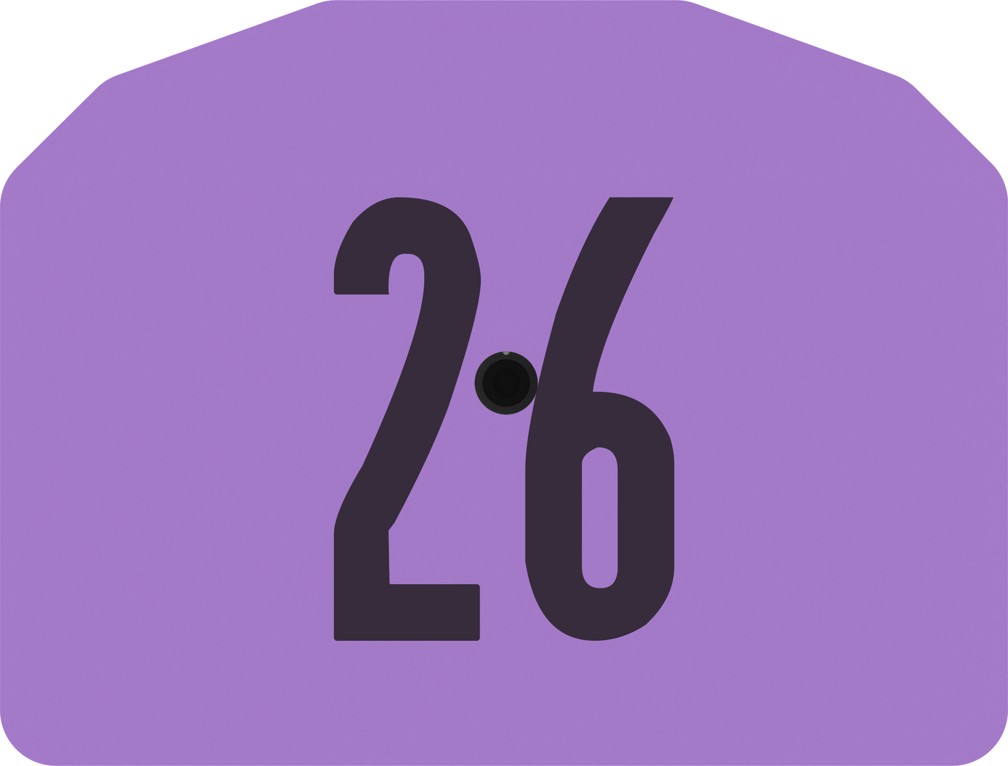 Z1 Pre-Numbered Small Animal Tags - 25 Tags