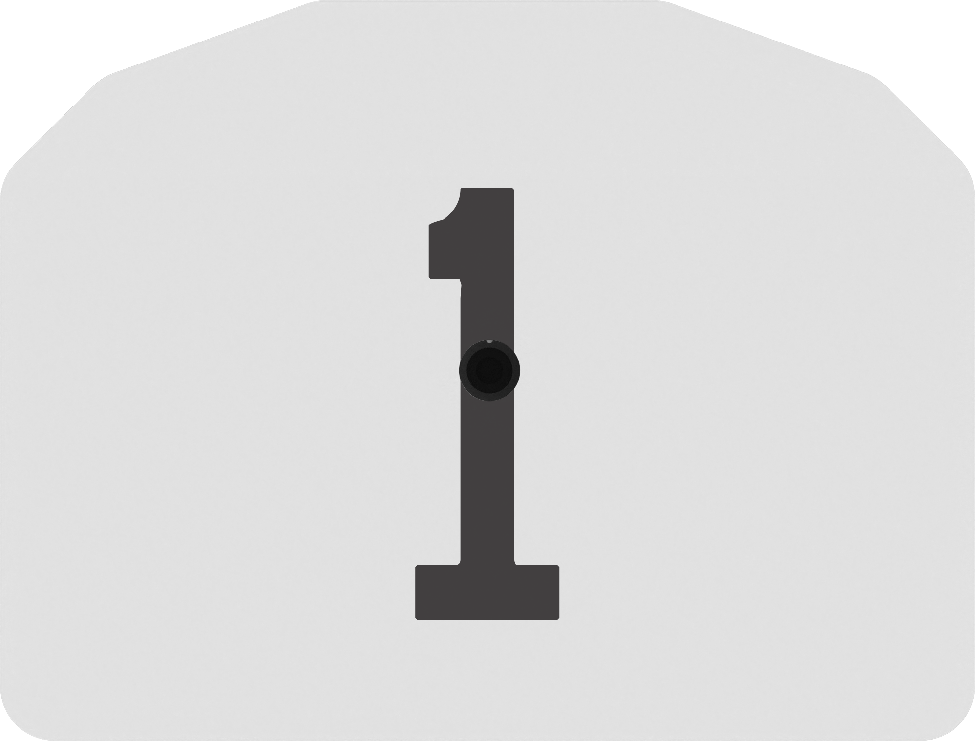 Z1 Pre-Numbered Small Animal Tags - 25 Tags