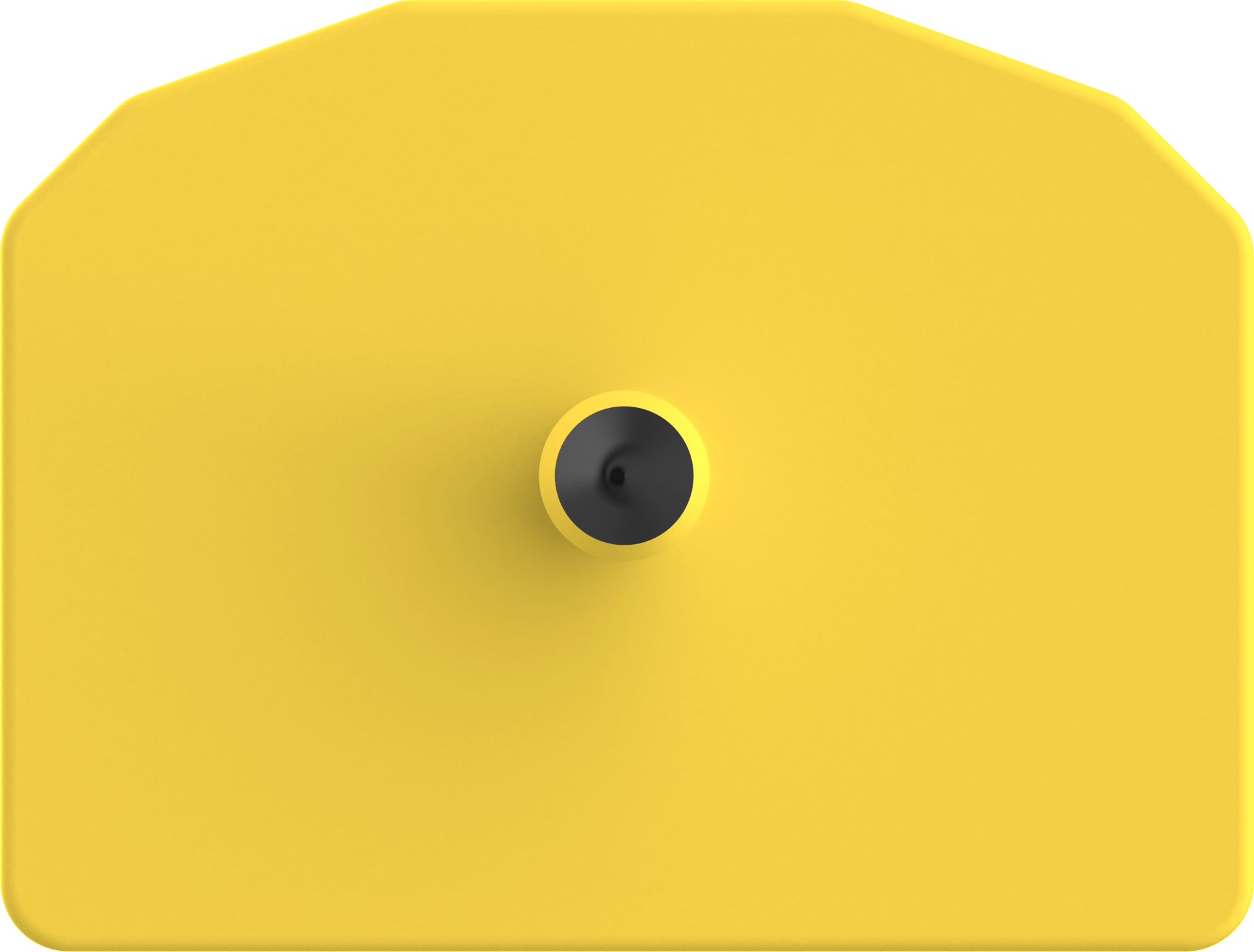 Herdsman Blank Small Animal Tags