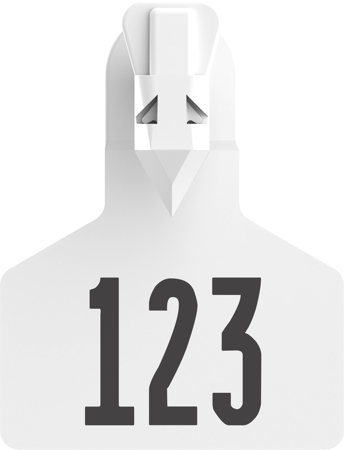 Z1 Pre-Numbered Small Animal Tags - 25 Tags