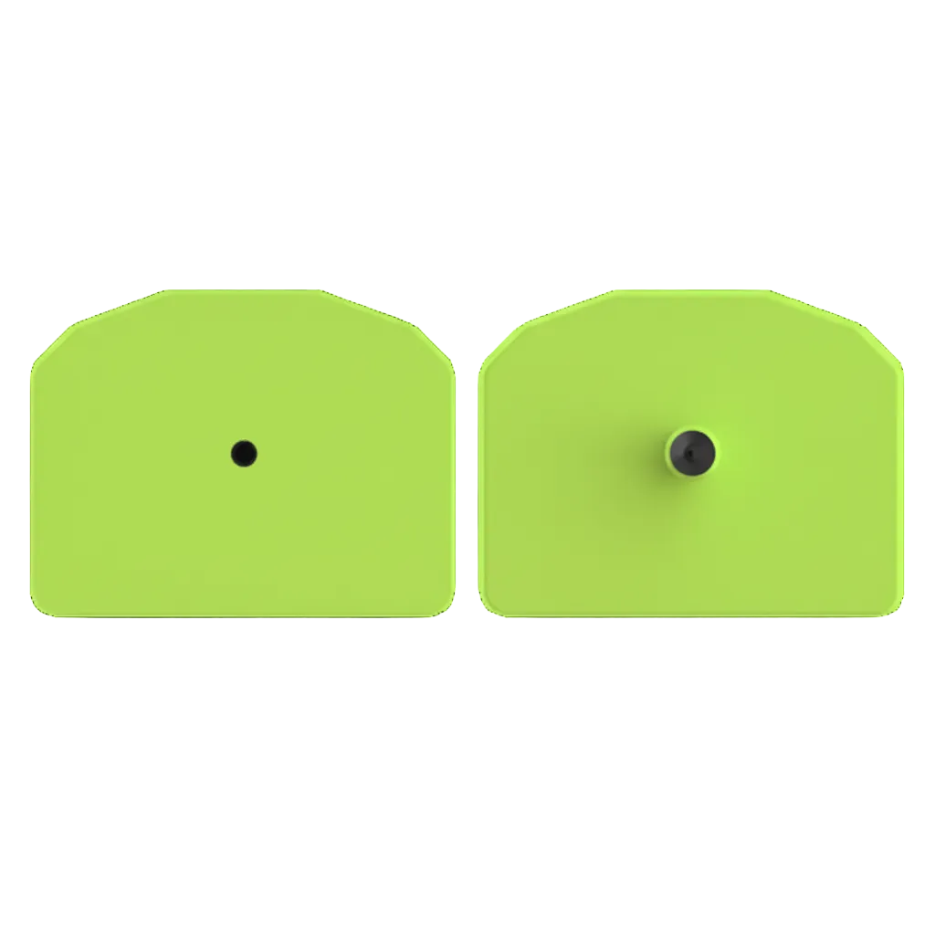 Chartreuse small animal tag
