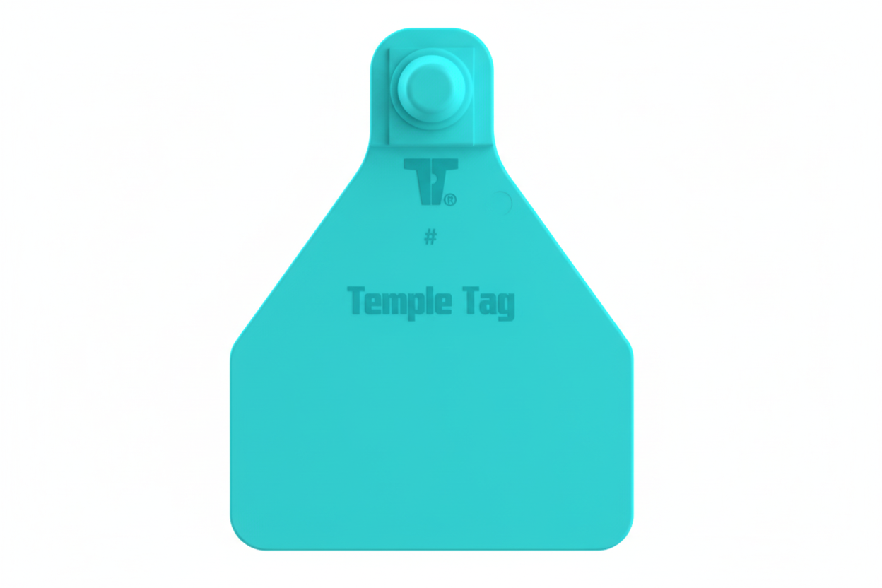 Turquoise Herdsman Blank Calf Tags