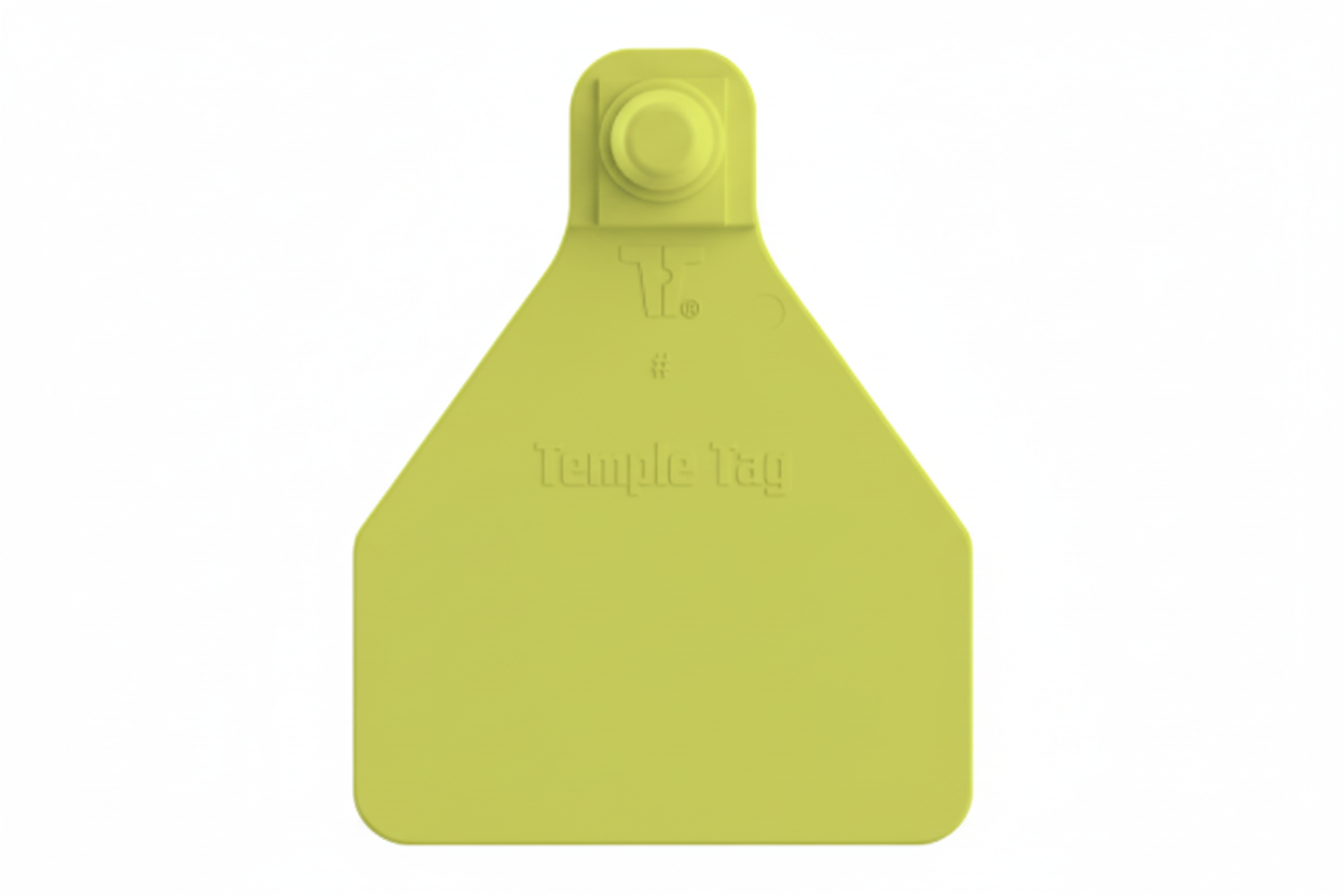 Chartreuse Herdsman Blank Calf Tags