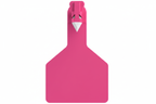 Pink Z1 Blank Long Neck Calf Tags