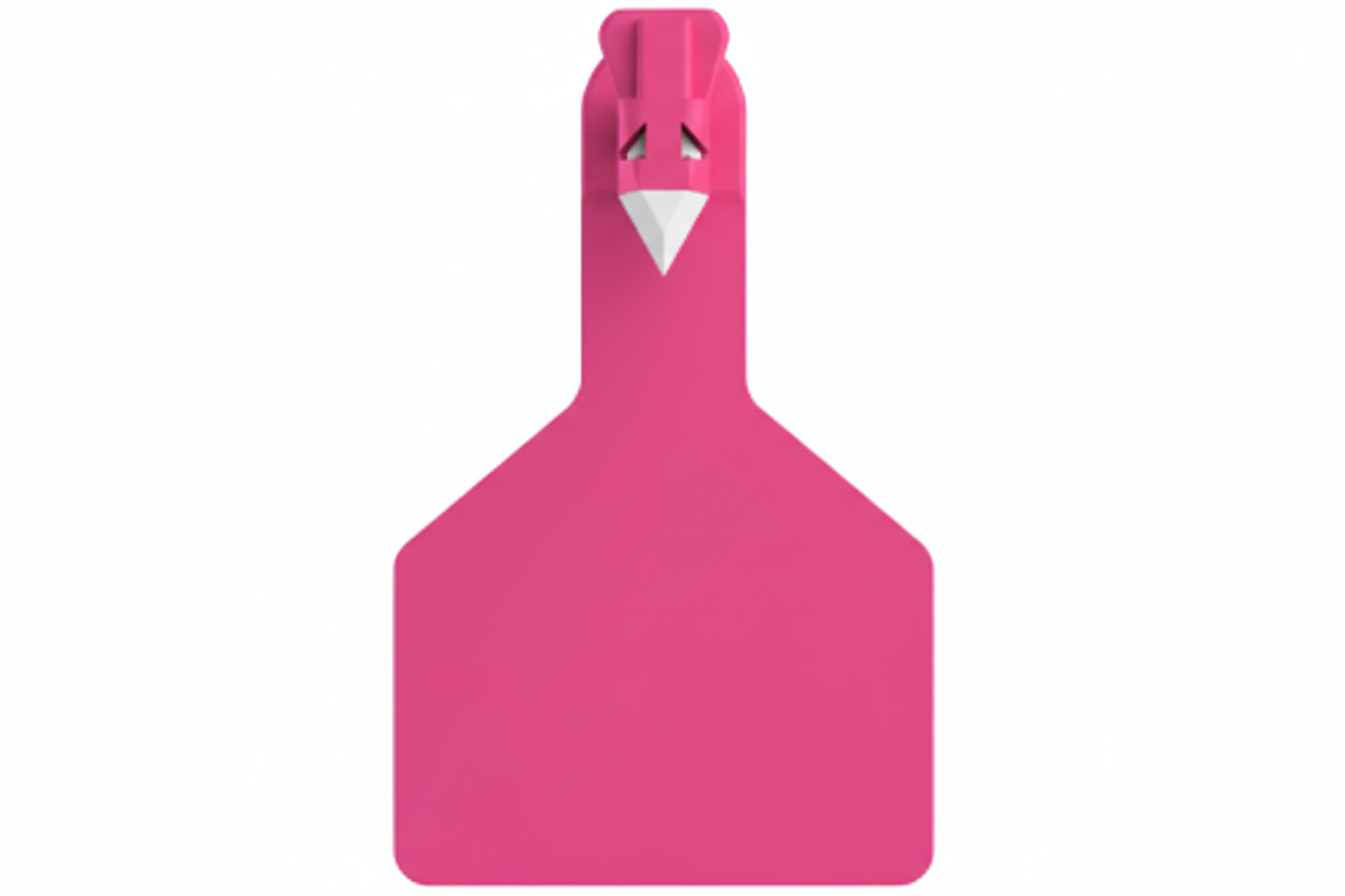 Pink Z1 Blank Long Neck Calf Tags