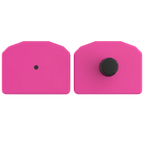 Pink small animal tag