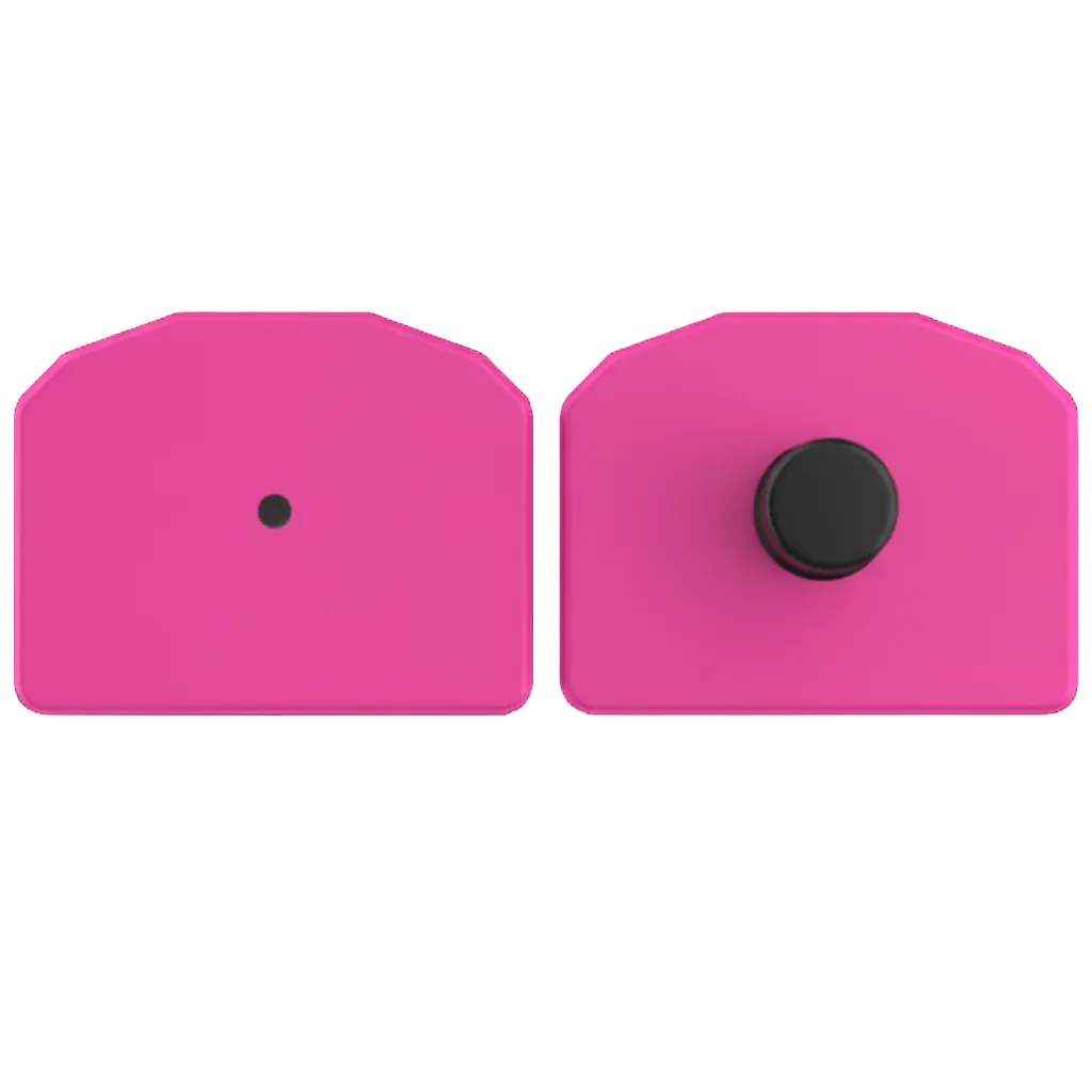 Pink small animal tag