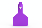 Purple Z1 Blank Long Neck Calf Tags