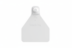 White Herdsman Blank Calf Tags