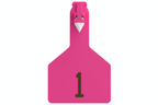 Pink Z1 Pre-Numbered Long Neck Calf Tags