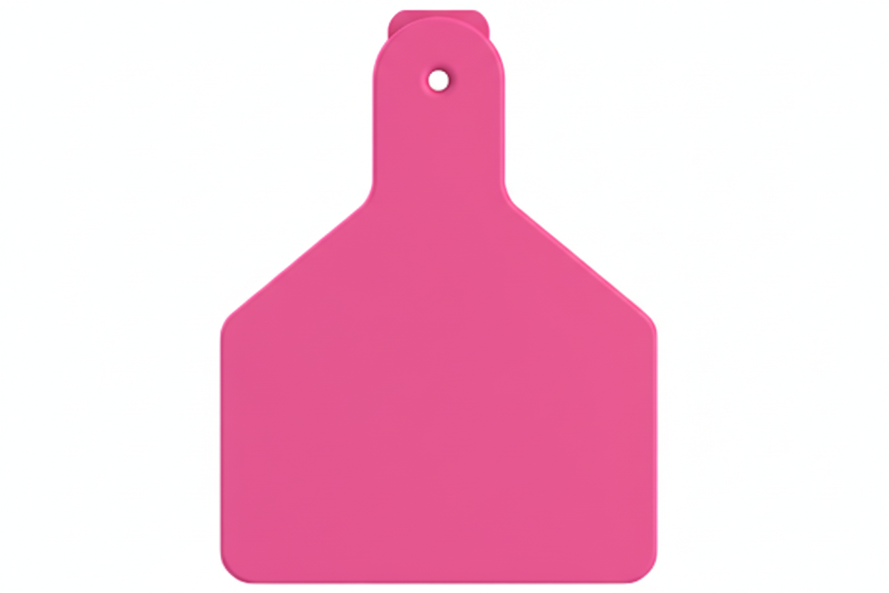 Pink Z1 Blank Calf Tags