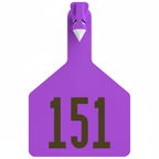 Purple Z1 cow tag