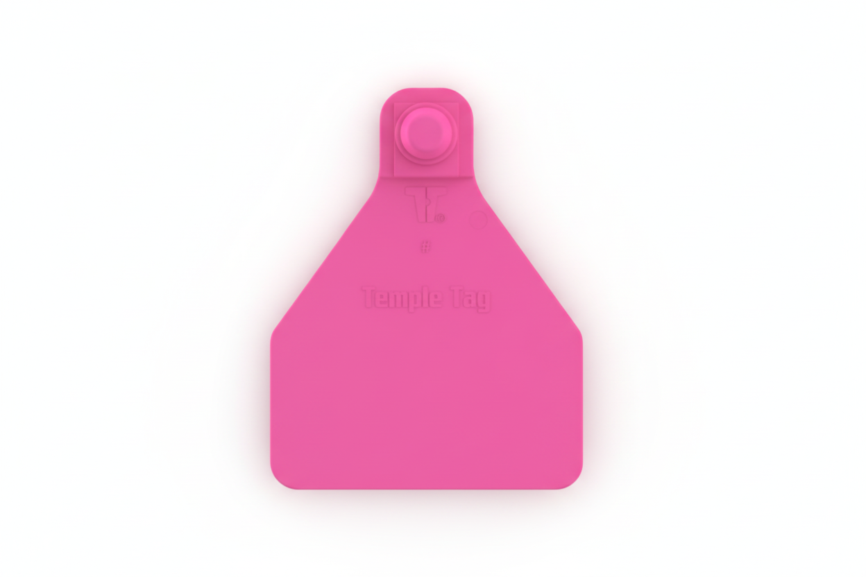 Pink Herdsman Blank Calf Tags