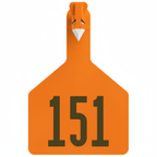 Orange Z1 cow tag