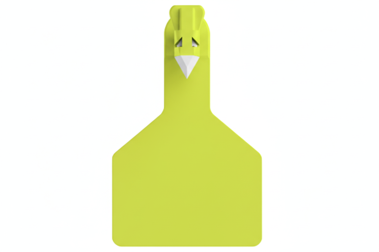 Chartreuse Z1 Blank Long Neck Calf Tags
