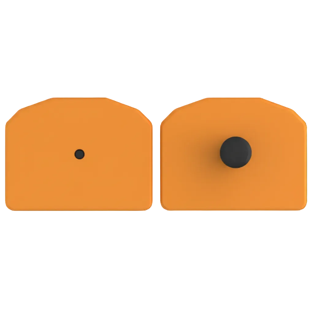 Orange small animal tag