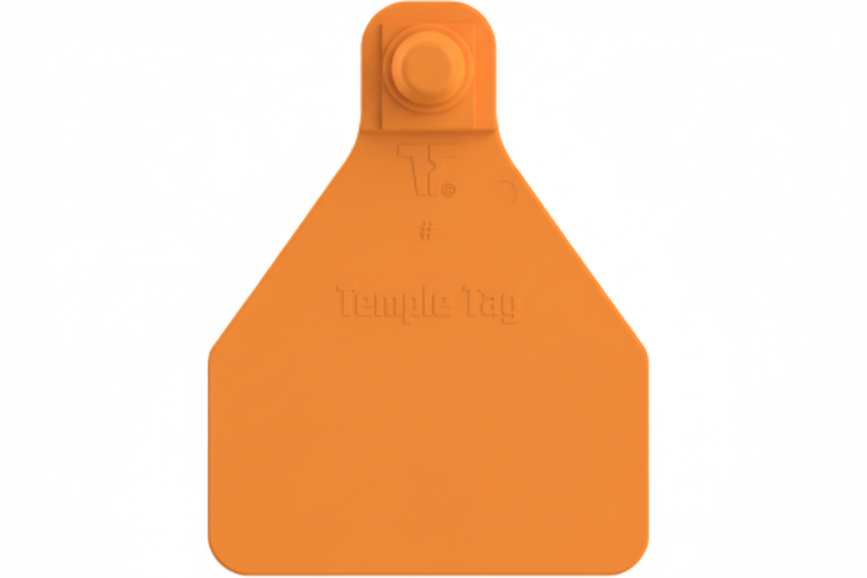 Orange Herdsman Blank Calf Tags