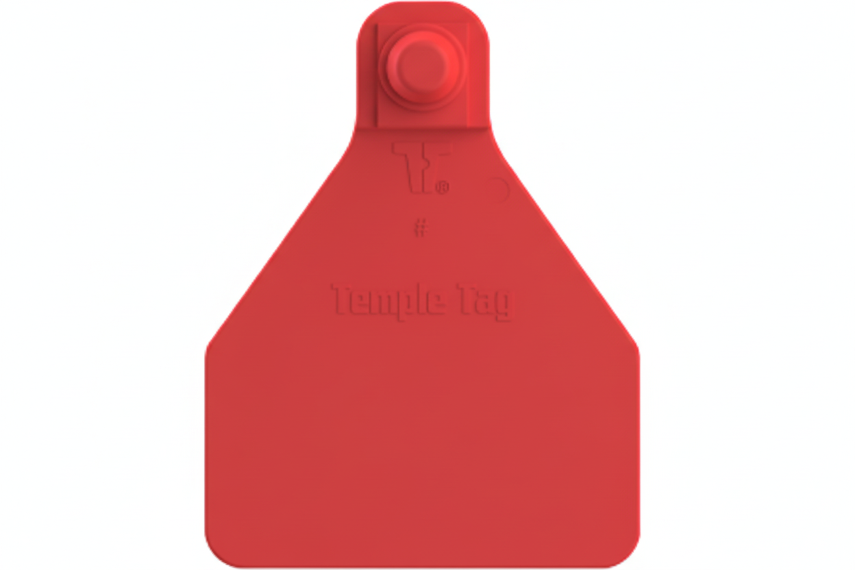 Red Herdsman Blank Calf Tags