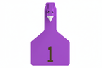 Purple Z1 Pre-Numbered Long Neck Calf Tags