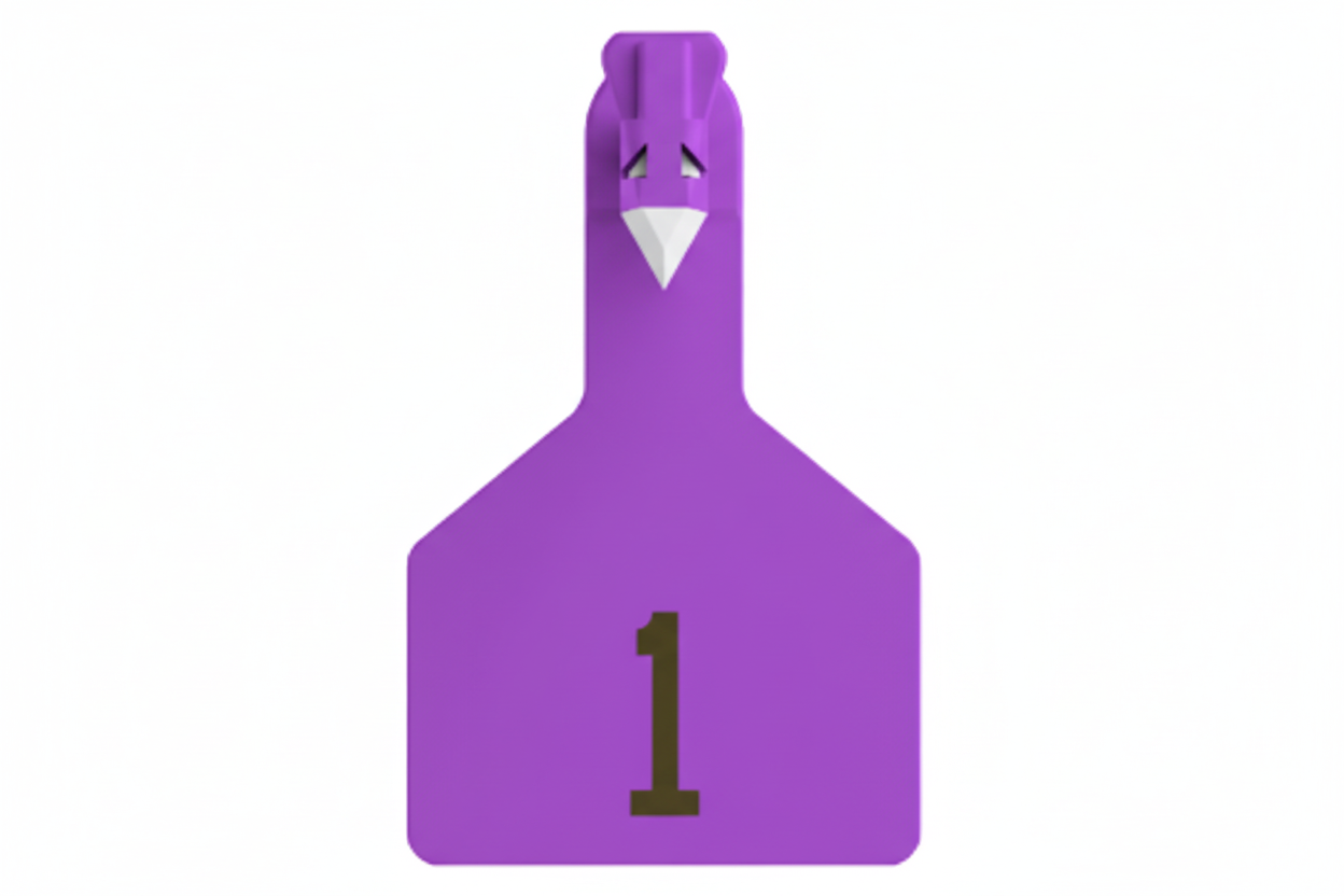 Purple Z1 Pre-Numbered Long Neck Calf Tags
