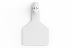 White Z1 Blank Long Neck Calf Tags