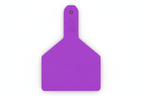 Purple Z1 Blank Cow Tags