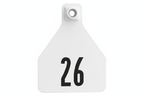 White Herdsman Pre-Numbered Calf Tags