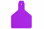 Purple Z1 Blank Calf Tags