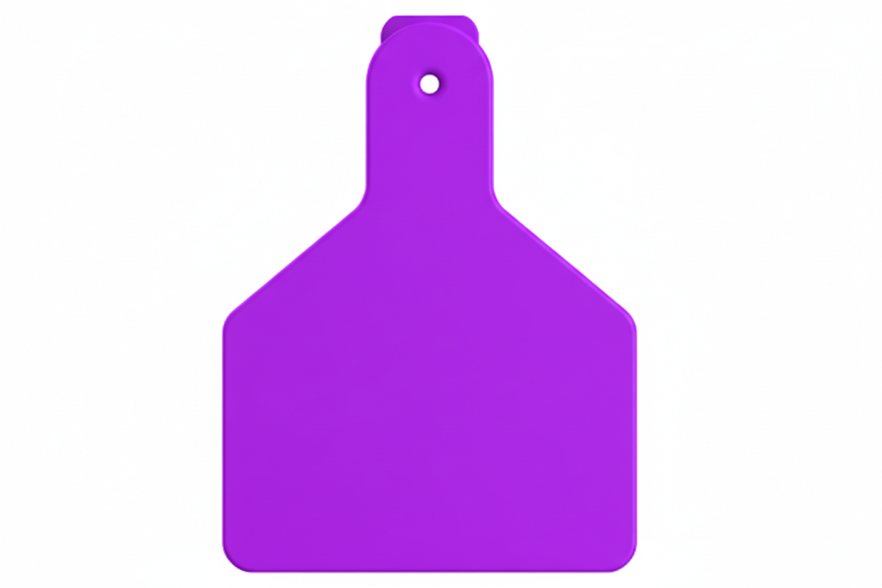 Purple Z1 Blank Calf Tags