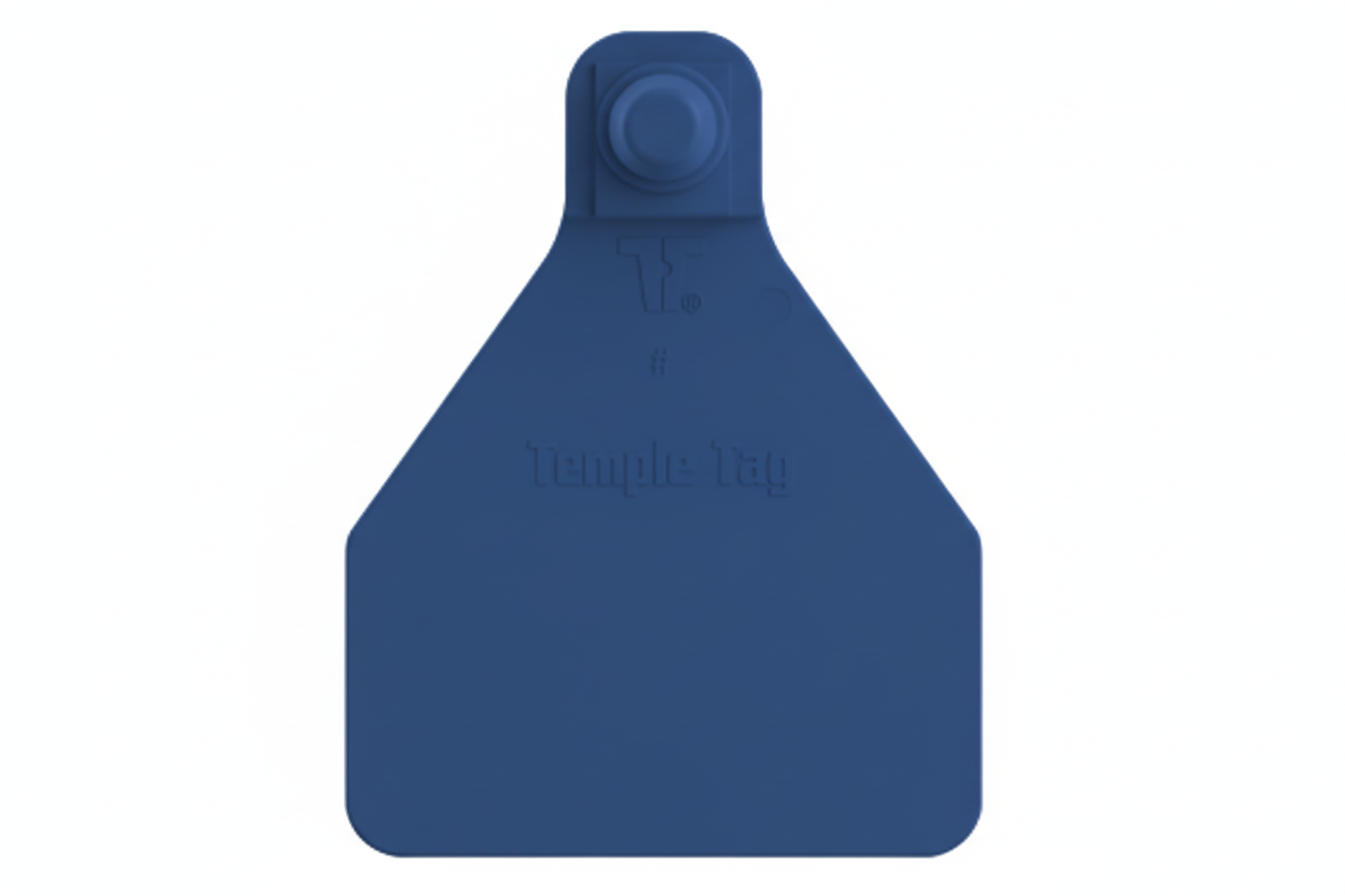 Blue Herdsman Blank Calf Tags