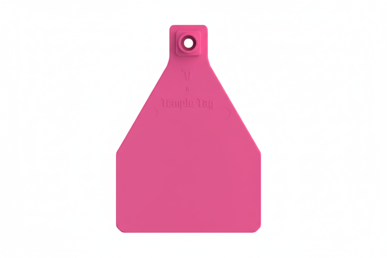 Pink Herdsman Blank Cow Tags