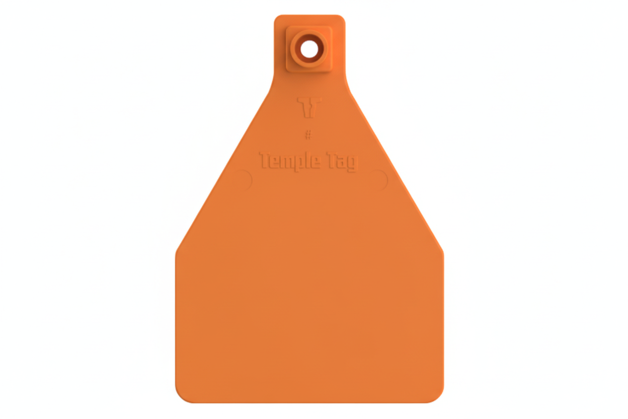 Orange Herdsman Blank Cow Tags