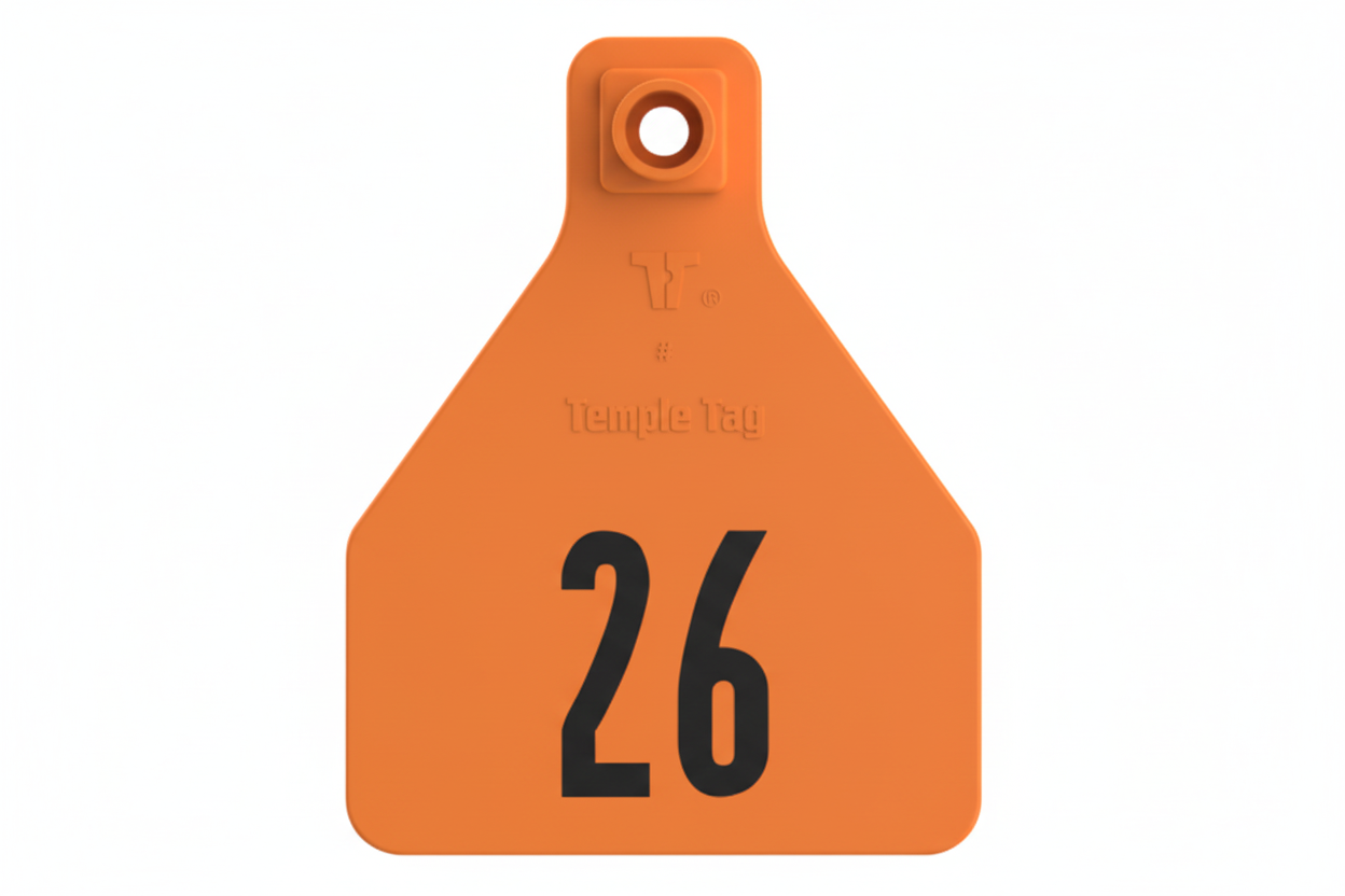 Orange Herdsman Pre-Numbered Calf Tags