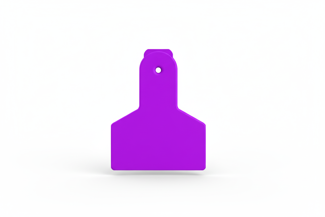 Purple Z1 Blank Small Animal Tags