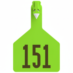 Green Z1 cow tag
