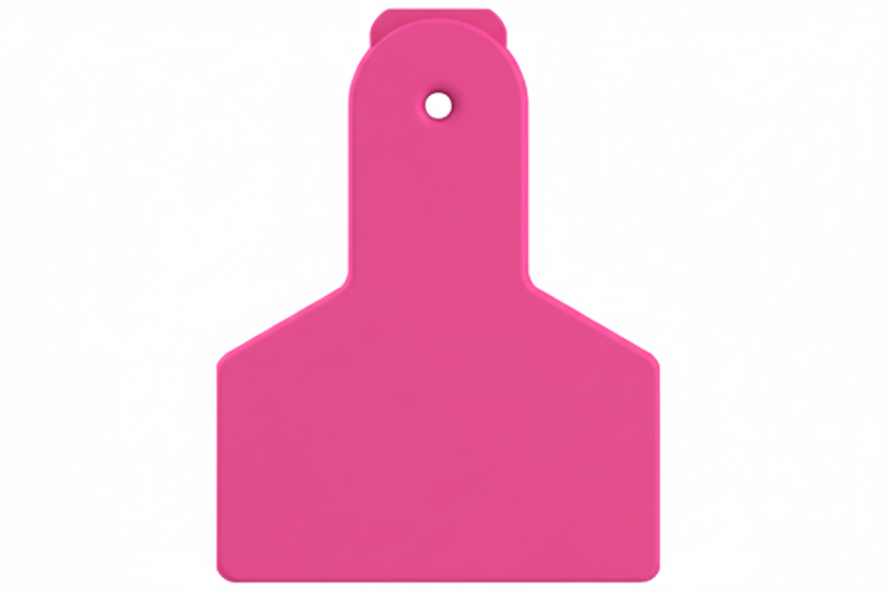 Pink Z1 Blank Small Animal Tags